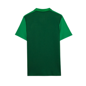 Camisa do Palmeiras 2024/25- POLO