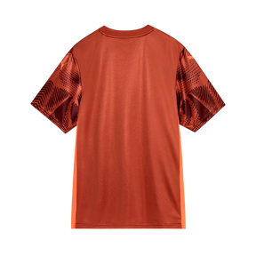 Camisa do Palmeiras 2025/26- GOLEIRO