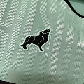 Camisa 2 Paysandu 24/25 Lobo - (Feminina)
